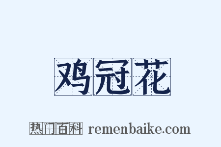 鸡冠花是什么意思的图片